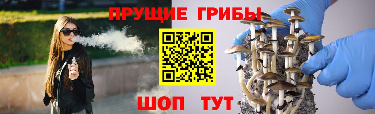 Псилоцибиновые грибы Psilocybine cubensis  Вход с VPN  Керчь 